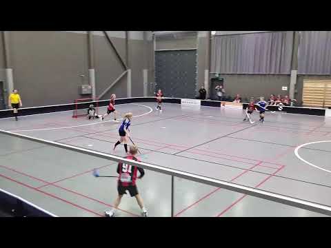 Salpa P16 - SB Somero