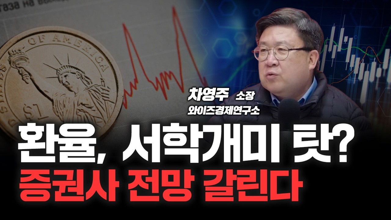"서학 개미 손실 너무 커..." 정부 나서는 이유 환율 때문이 아니다? | 와이즈경제연구소 차영주 소장 [심층