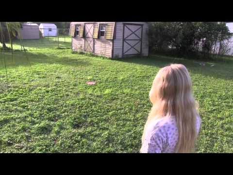 Dice Tower Girl Reviews - Flickin' Chicken