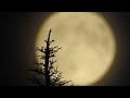 Harvest Moon 2020 | Nikon COOLPIX P1000 zoom