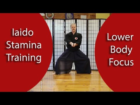 Iaido Stamina!, lower Body