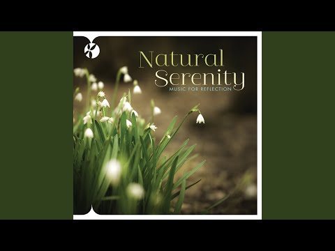 download lagu mp3 mp4 Natural Serenity, download lagu Natural Serenity gratis, unduh video klip Natural Serenity