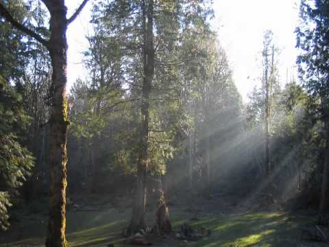 Mornin' Ride video