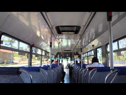 Punchbowl Bus Co. m/o 9028 - Hino RG197K (Allison) (Custom Coaches)