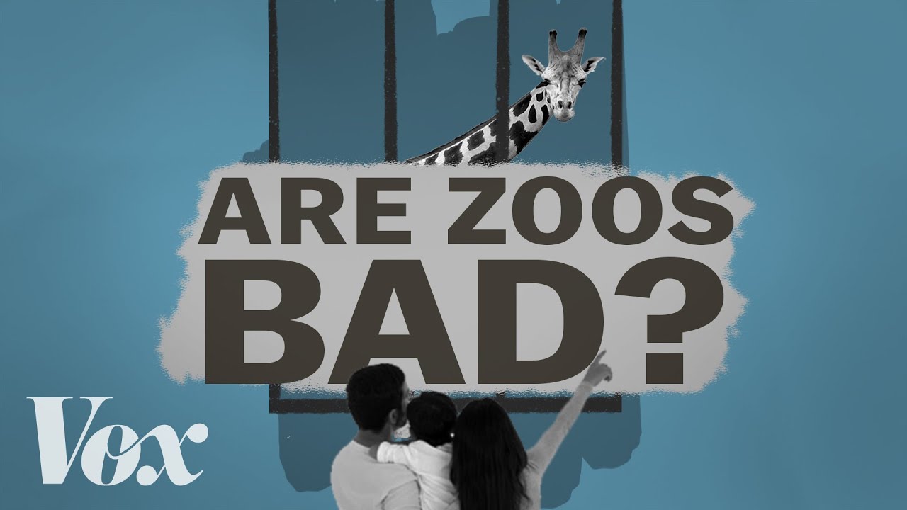 How do zoos help the environment? More REF
