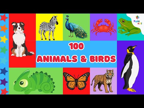 100 AMAZING Animals and Birds for Kids to Learn