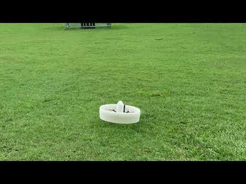Flying Ring VTOL Tailsitter maiden flight