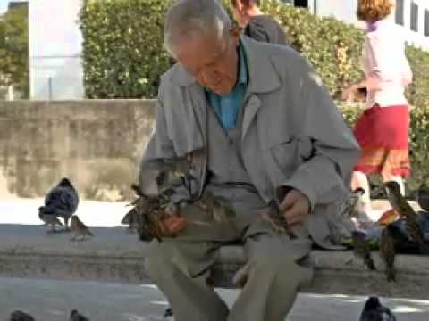 Florin Ianovici - Marturie