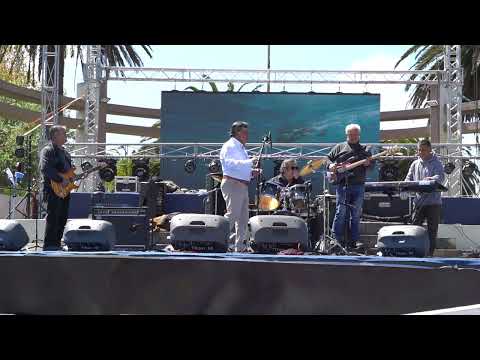 fiesta de la nalca, plaza de lebu, region del Bio Bio