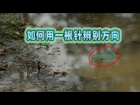 方向針