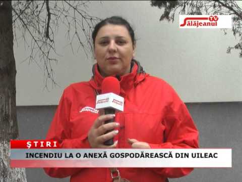 INCENDIU LA O ANEXA GOSPODAREASCA DIN UILEAC