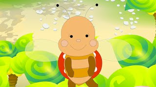 Coccinelle demoiselle