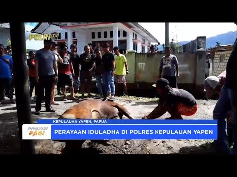 KEPULAUAN YAPEN SEMBELIH 5 HEWAN KURBAN