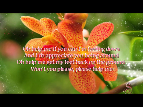 Tina Turner ♫ Help ☆ʟʏʀɪᴄ ᴠɪᴅᴇᴏ☆