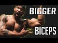Cant Get Big Biceps ?? Try This Out