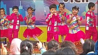 Bal Niketan Public School Video