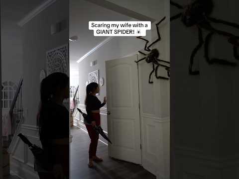 SCARING MY WIFE WITH A GIANT SPIDER 😳
