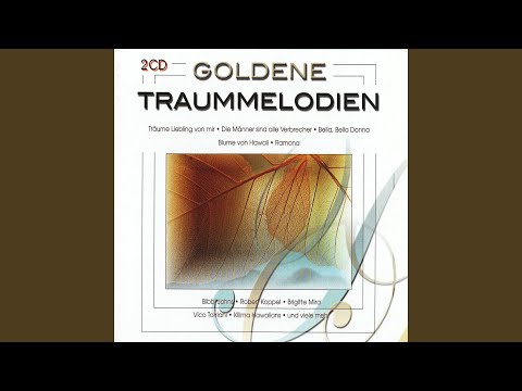 Leuchtkaefers Stelldichein