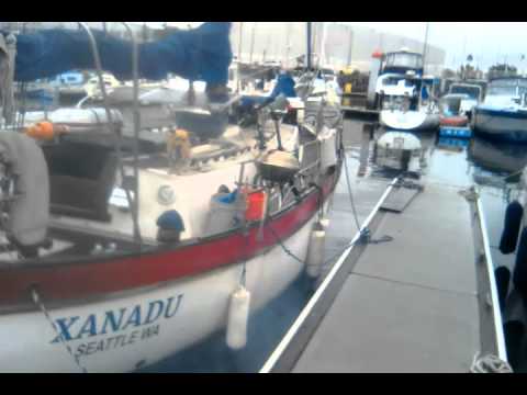 XANADU haulout day, mexico 1.4.16