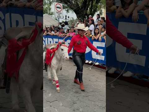 Desfile Hípico de San Miguel Panán Suchitepéquez, Cuadra de Salcajá #caballos #horses #equine