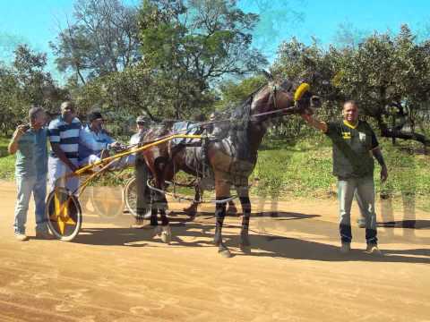 FOTOS DOS PÁREOS DO DIA 07/07/2013