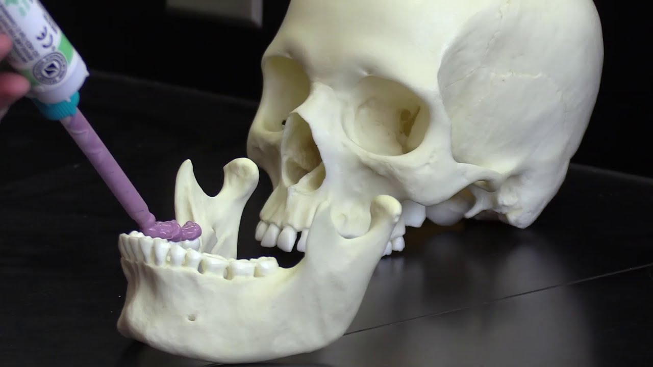 Undergraduate research opportunities in the College of Liberal Arts and Sciences