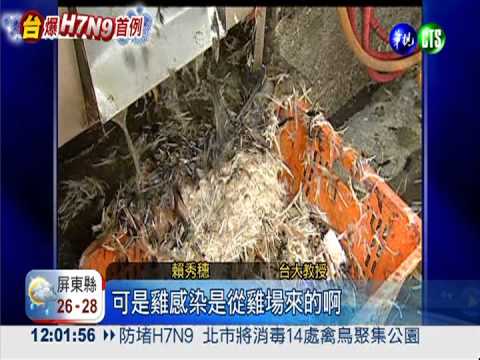 H7N9病毒來源? 活禽市場最危險!