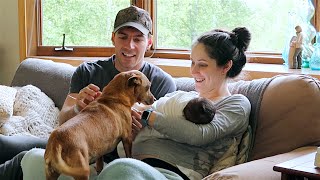 Pets Meet Baby For The First Time!