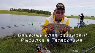 В татарстане отчеты о рыбалке