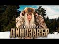 GERY-NIKOL - DINOZAVAR | ГЕРИ-НИКОЛ - ДИНОЗАВЪР [OFFICIAL 4K VIDEO 2026]
