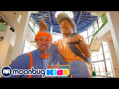 Blippi Visits A Children's Museum | @Blippi - Educational Videos for Kids | Moonbug Literacy