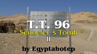 EGYPT 661 - SENNEFER'S Tomb *T.T. 96*  II  - (by Egyptahotep)