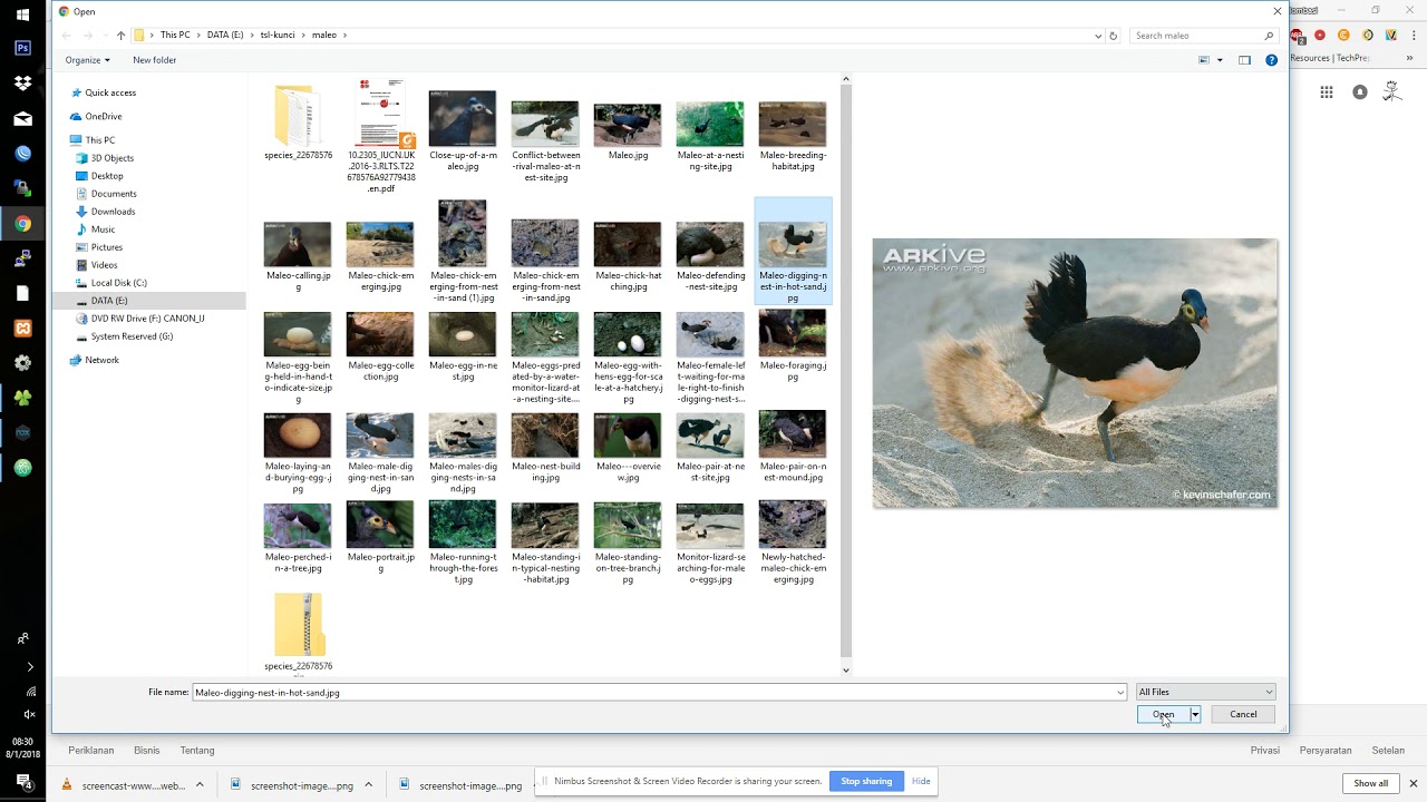 Begini Cara Identifikasi Foto TSL di Google dan Aplikasi