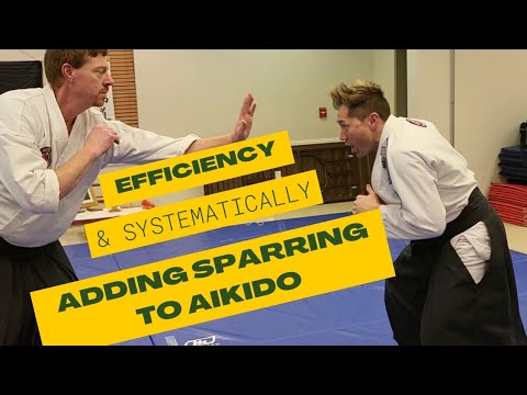 Efficiency in Aikido & How to add Sparring Systematically