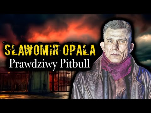 SŁAWEK OPALA 1 I PIES z POWOŁANIA | PITBULL | DESPERO podkomisarz | POLICJA w latach 90’ |