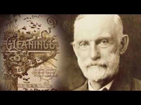 Boja meda ep.40 11.12.2018. - satne osnove, Živan Jelić, aktivnosti pčelara u poznu jesen