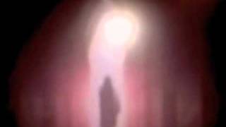 Hey Colossus - Golden Eggs (Dominant Male) 2010.