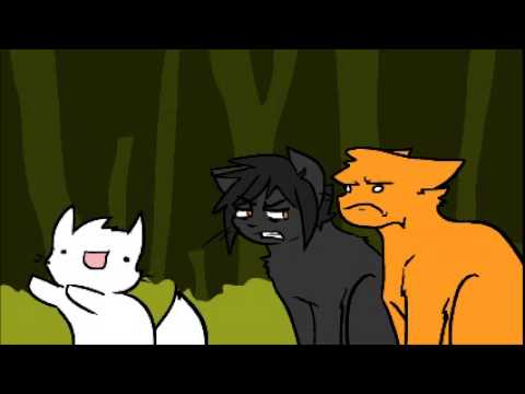 Warrior cats funny videos sale