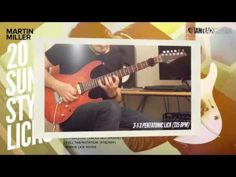 Martin Miller - 20 Sunny Style Fusion Licks