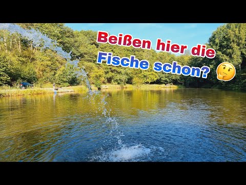 Entschneidert!/Teichanlage Orth