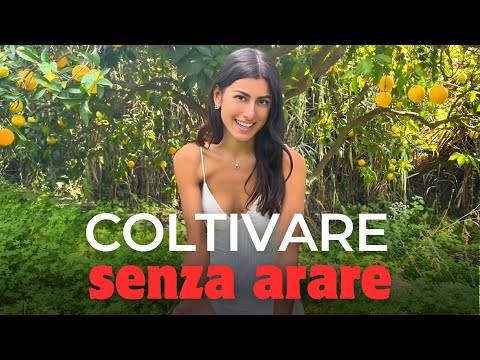 Cultivate WITHOUT PLOWING