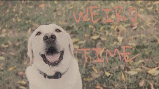 Weird Time | Short Film