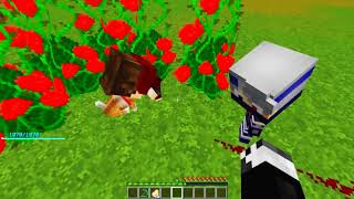 CICLO-DE-VIDA-DO-KAKASHI-HATAKE-NO-MINECRAFT
