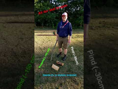 Pindligaen video thumbnail