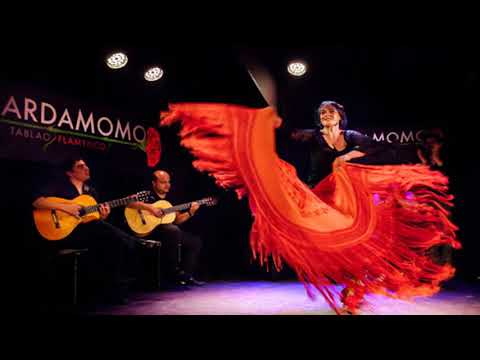 Alex Fox ~ Amazing Guitar Performance by Alex Fox ~ Flamenco Guitar Music