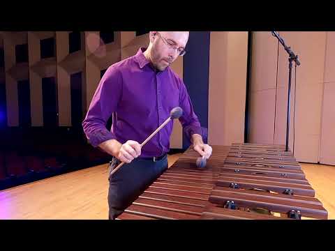 TMEA 2022-2023 2-Mallet Etude with Jam Track, Dr. Brad Meyer (performer)