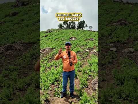 FINCA EN PASCA CUNDINAMARCA