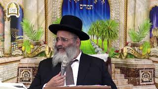 שידור חי מהסוכה של הרב ישראל אברג'ל שליט"א, בנו וממשיך דרכו של הרב יורם אברג'ל זיע"א