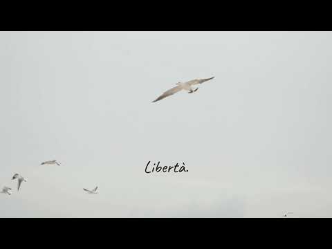 SOGNANDO LA LIBERTÀ di Silvia Pattarini