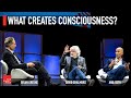 What Creates Consciousness?